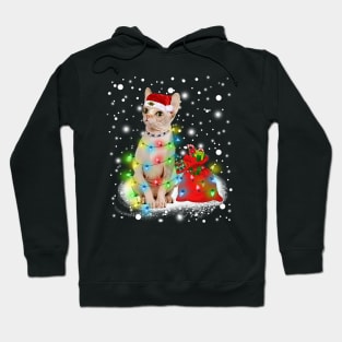 Sphynx cat Hoodie